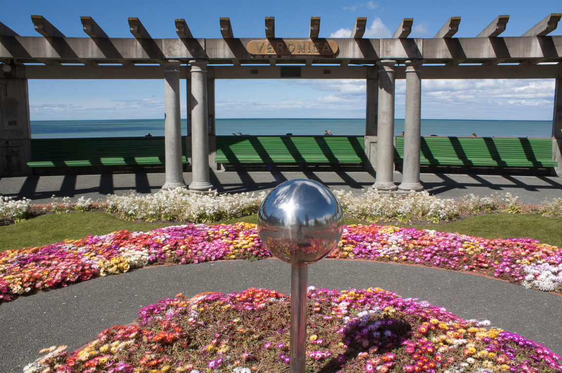 Update training session - Napier