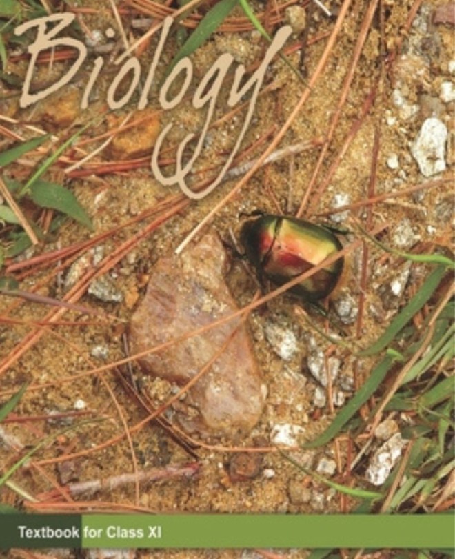 NCERT Class 11th Text Book Updated Text Book