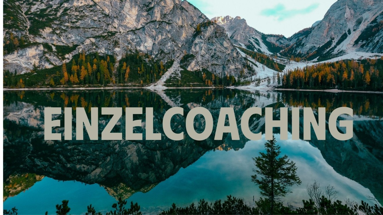 Einzelcoaching 60min