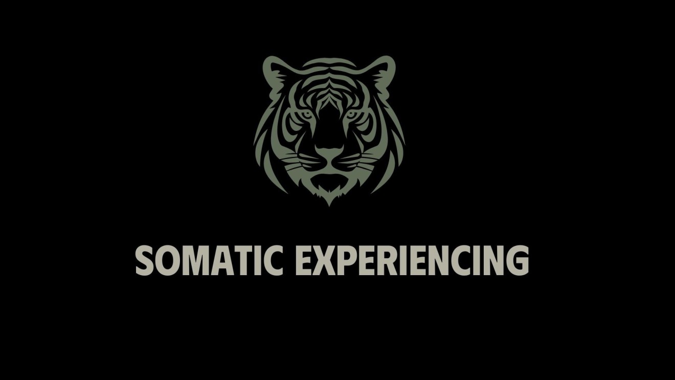 Somatic Experiencing