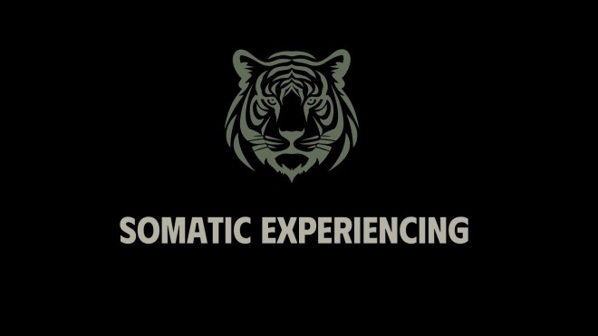 Somatic Experiencing