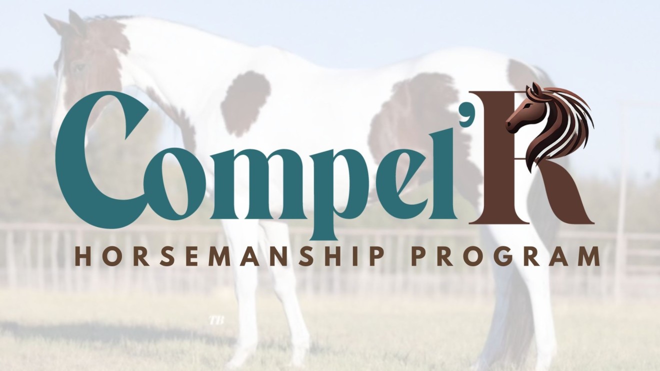 Horsemanship Program