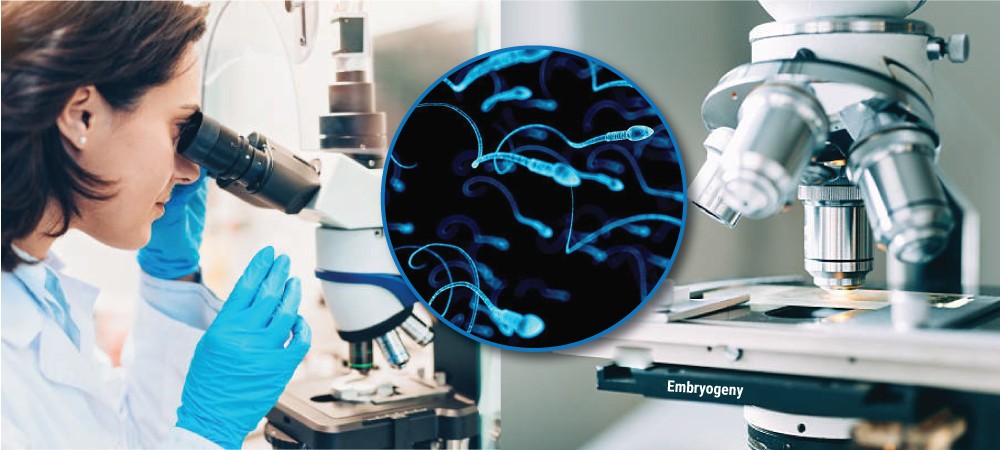 Advanced Semen Analysis Course