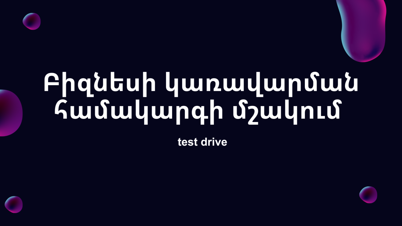 Բիզնեսի կառավարման համակարգի մշակում - test drive