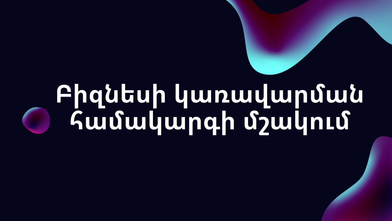 Բիզնեսի կառավարման համակարգի մշակում