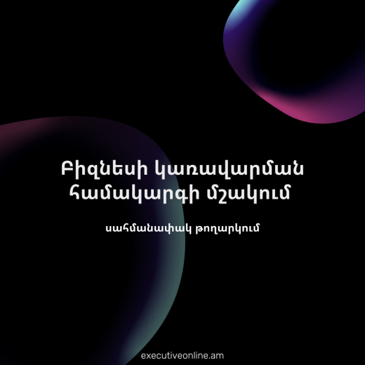 Բիզնեսի կառավարման համակարգի մշակում - սահմանափակ թողարկում