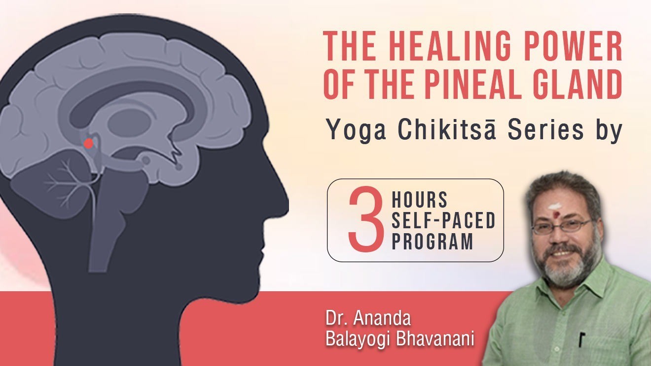 The Healing Power of the Pineal Gland