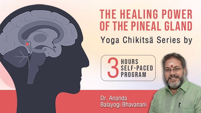 The Healing Power of the Pineal Gland