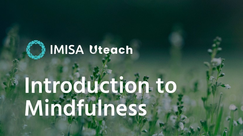 Finding Your Ground: An Introduction to Mindfulness