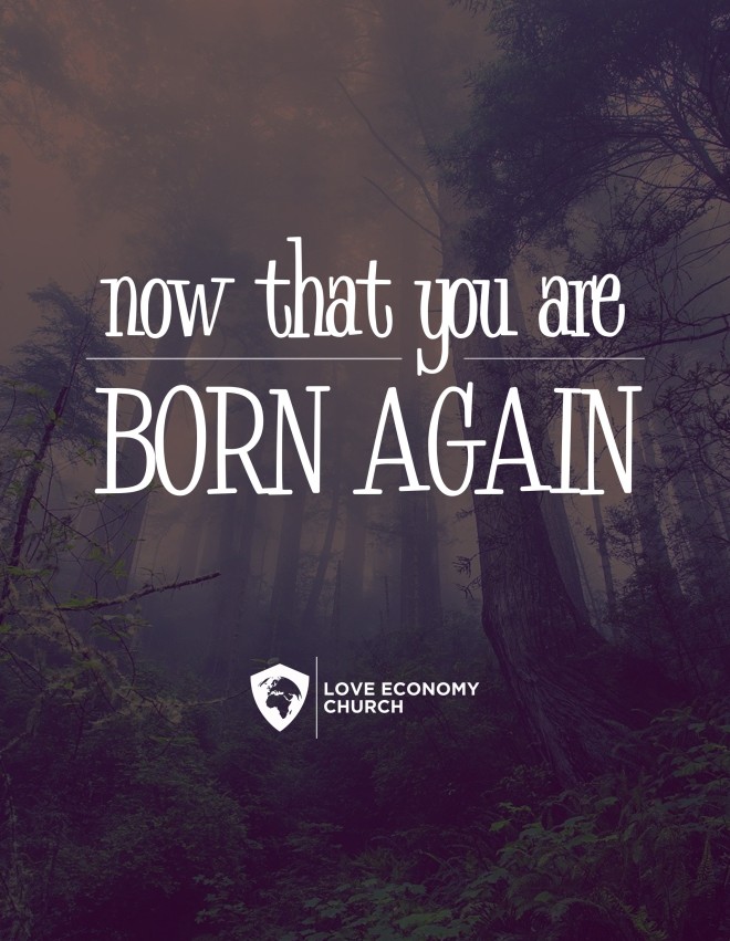 Now That You Are Born Again