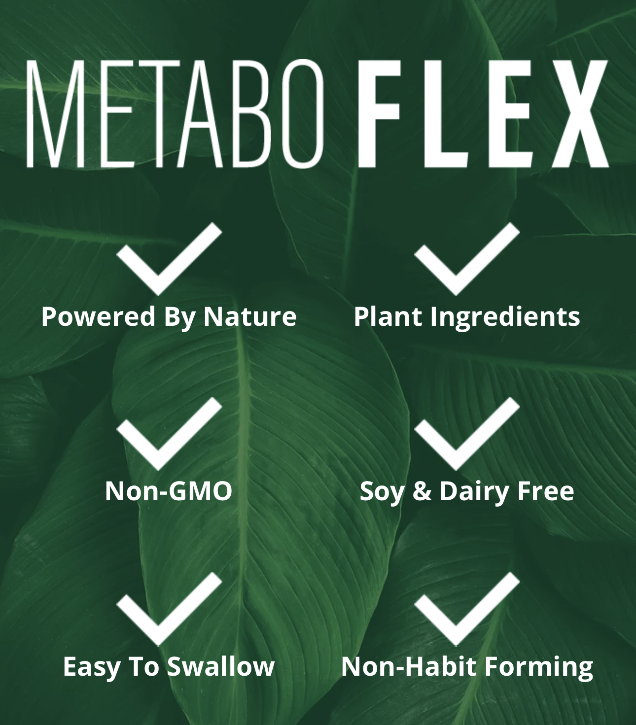 Unlocking the Health Benefits of Resveratrol From AntiAging to Weight Loss and More