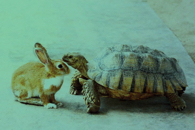 Making AI Actionable - The Story of the Tortoise and the Hare