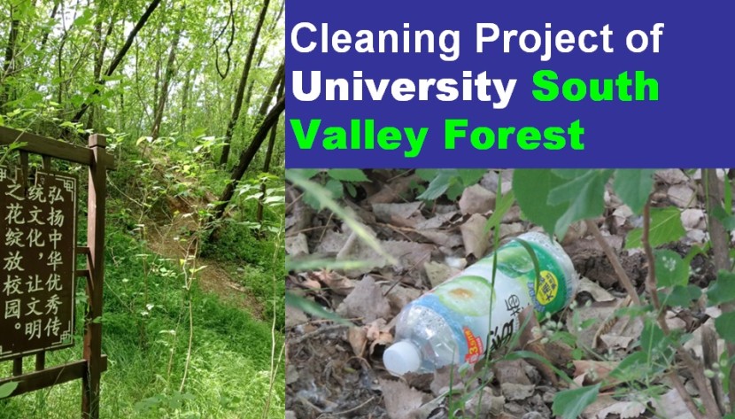 Service Project
