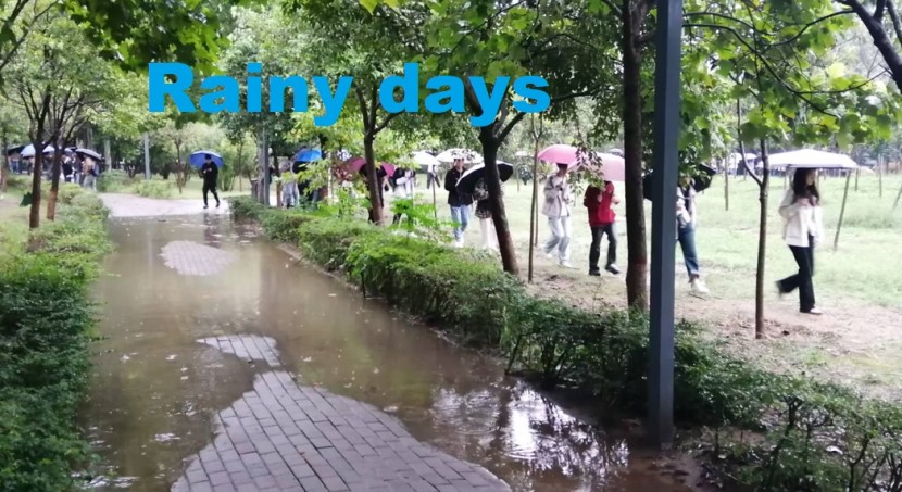 Rain and mud