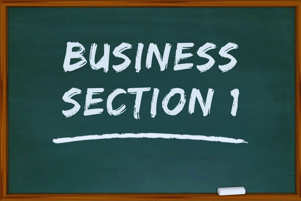 Business Studies IGCSE / O Levels 7115 Section 1 workbook