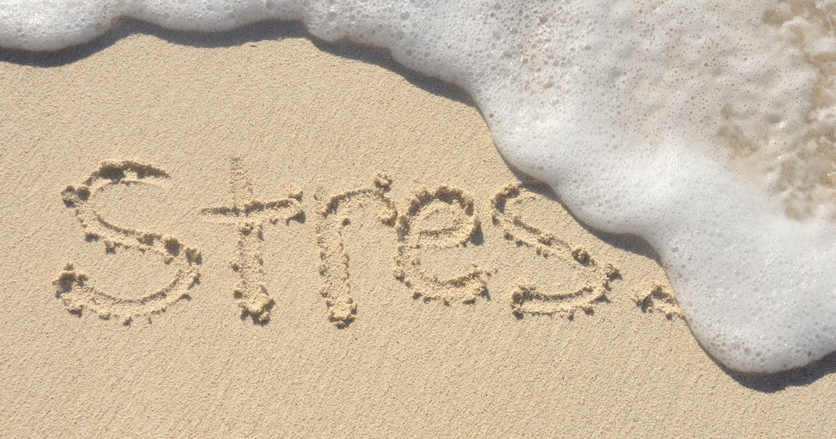 Stress Release In Minutes