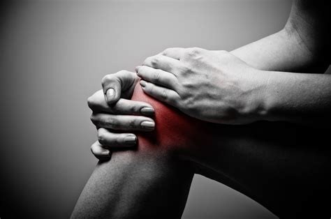 Support for the Body's Largest Joint: Knee Health and Wellness