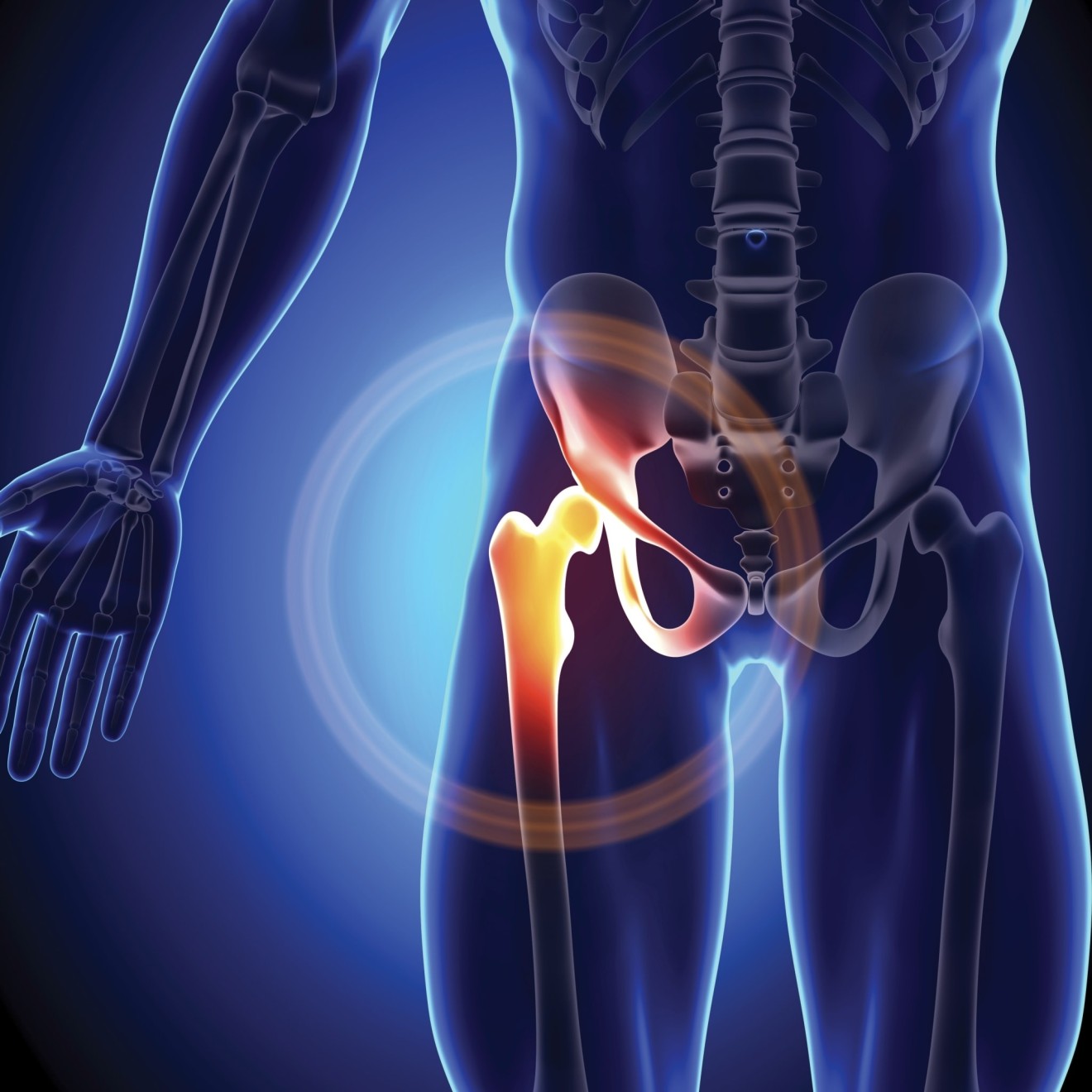 Improving Hip Health and Targeting Mobility