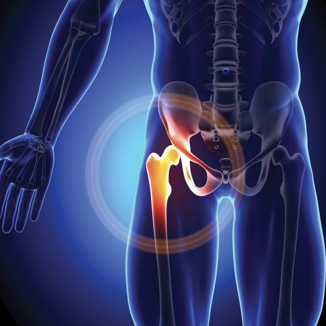 Improving Hip Health and Targeting Mobility