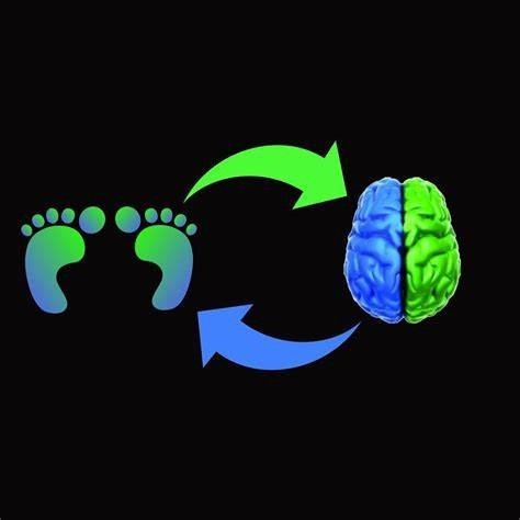 Dynamic Foot Training: Merging Neurology and Movement