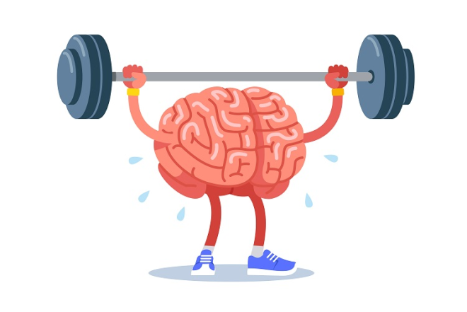 Brain Boost: Neurology for Fitness Gains