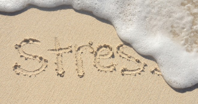 Stress Release In Minutes