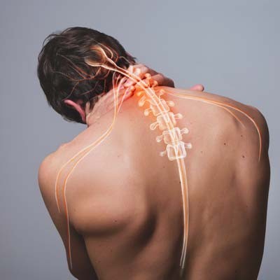 Protect Your Neck