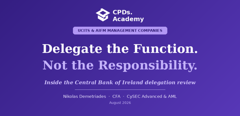 Delegation Under Review: What the Central Bank of Ireland Found About Group Influence
