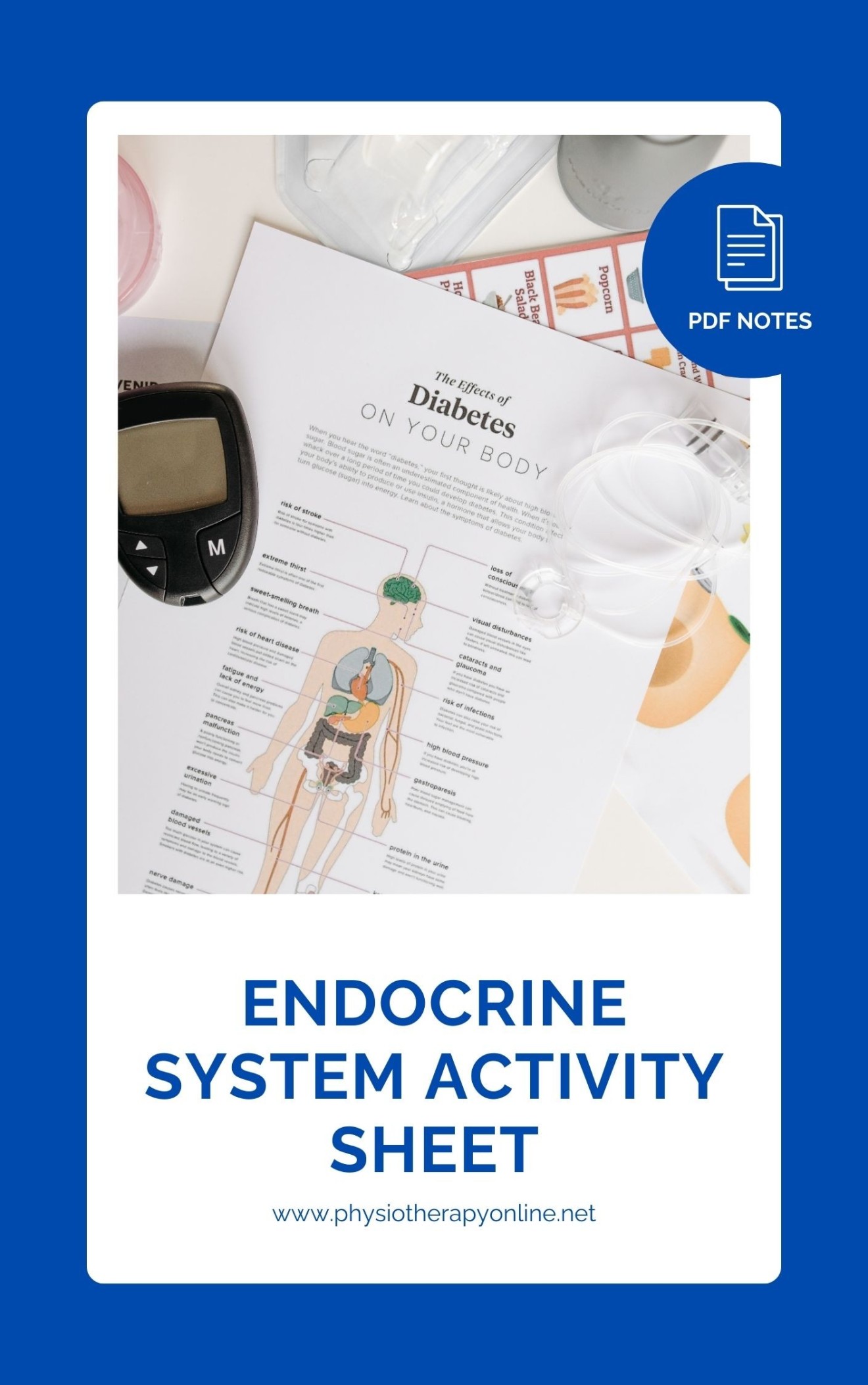 Endocrine System Activity Sheet PDF