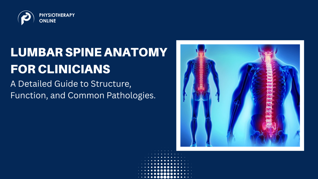 Lumbar Spine Anatomy for Clinicians - Cheat Sheet