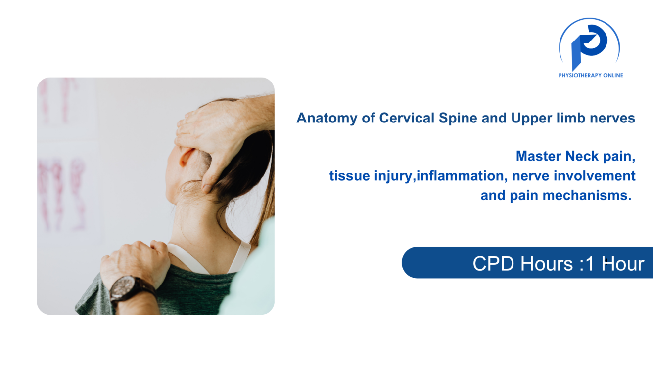 Cervical Spine and Upper Limb Nerve Anatomy: A Functional Guide for Clinicians