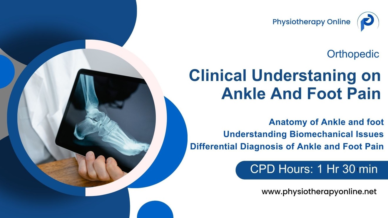 Comprehensive Therapeutic Guide to Ankle and Foot Anatomy