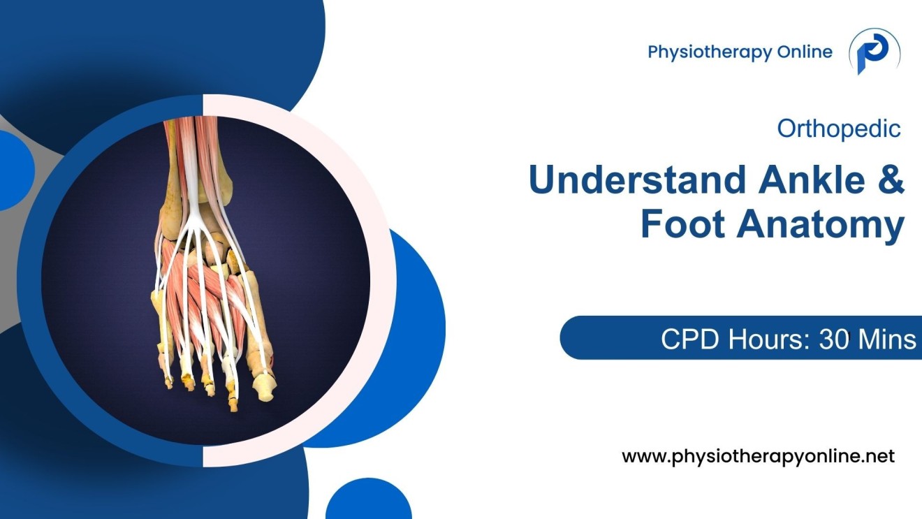 Understand Ankle and Foot Anatomy