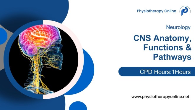 CNS Anatomy Functions & Pathways
