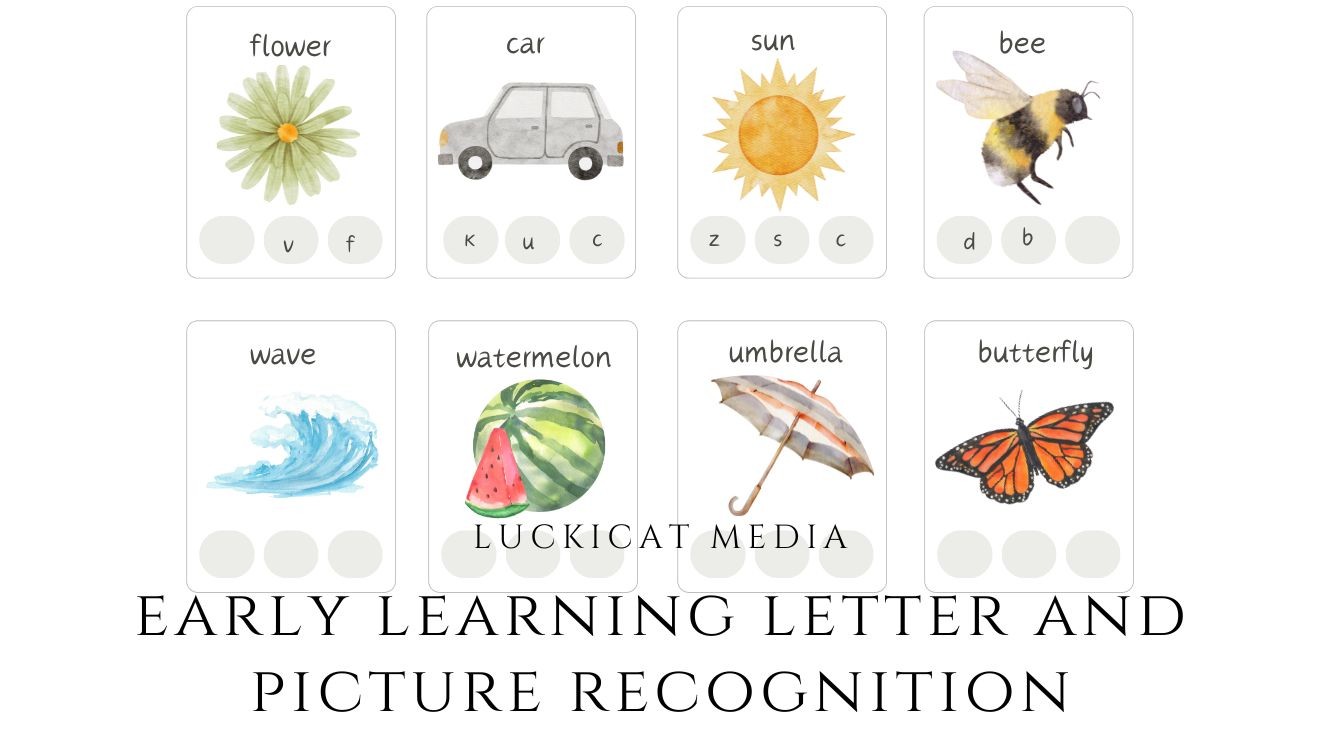 Early learning Picture flashcards
