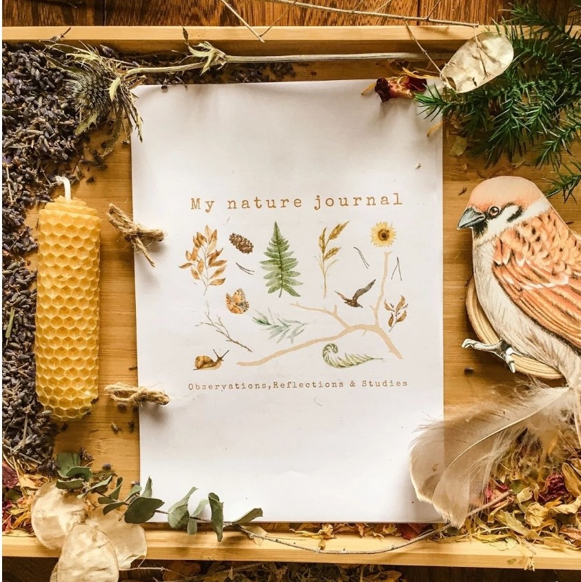 My Nature Journal