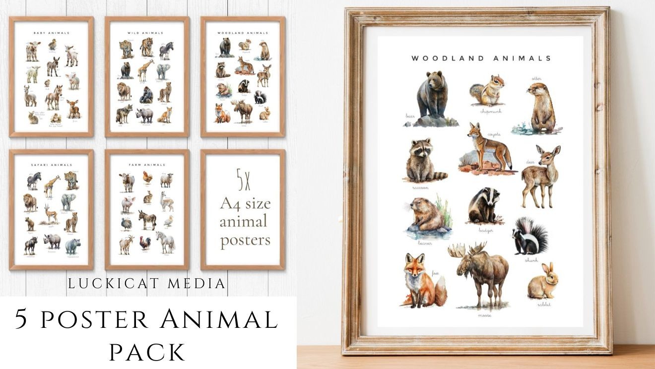 Animal Poster pack