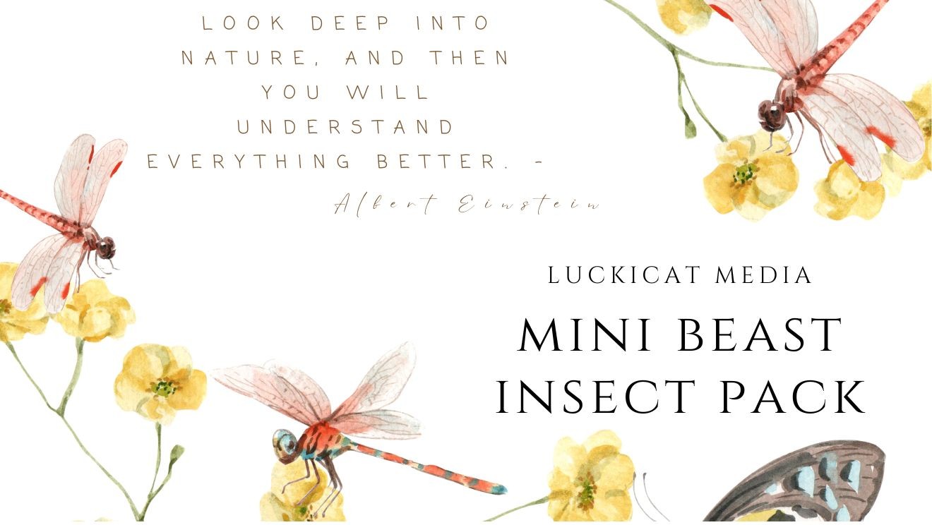 MiniBeast Insect pack