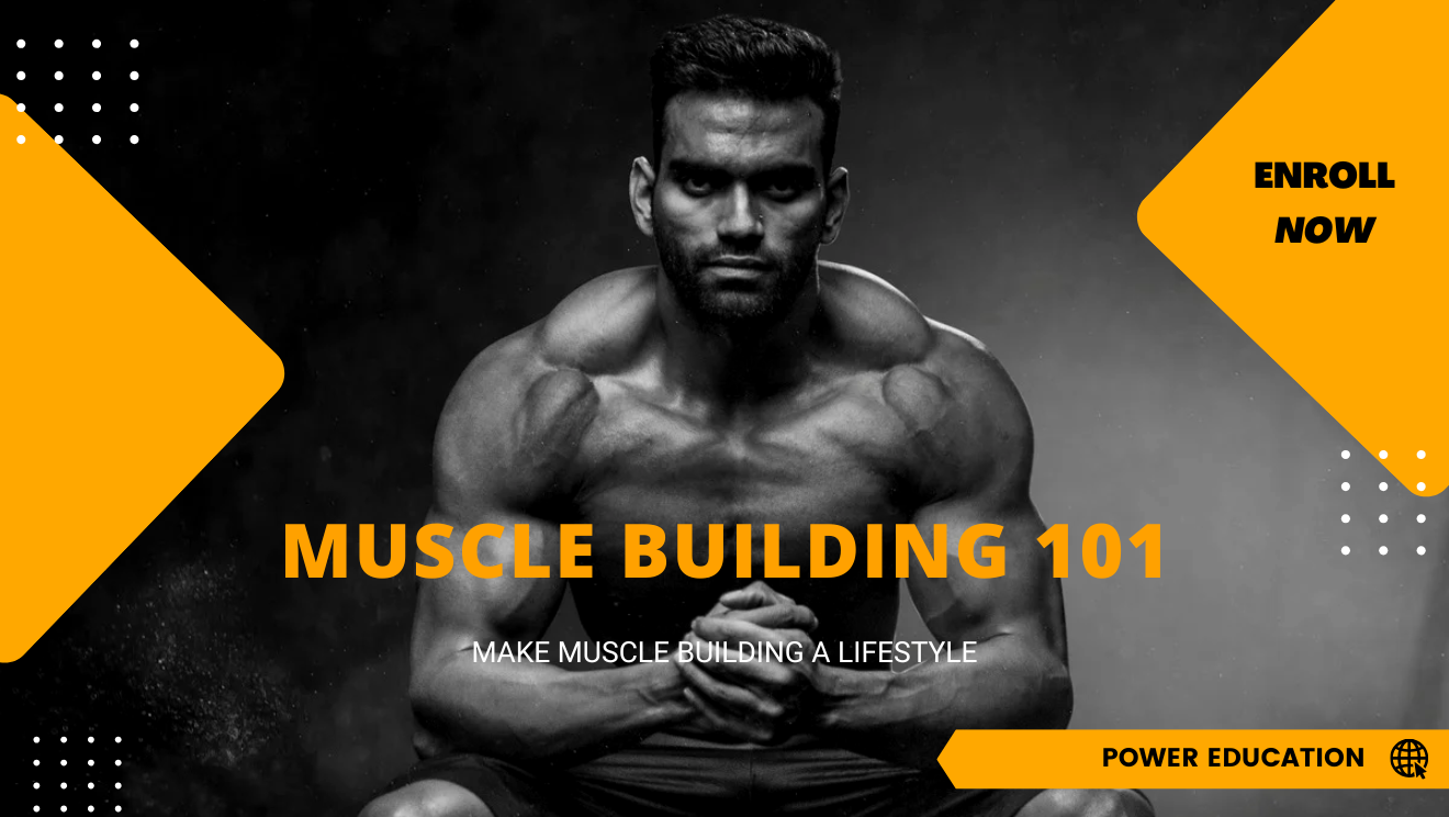 MUSCLE BUILDING 101
