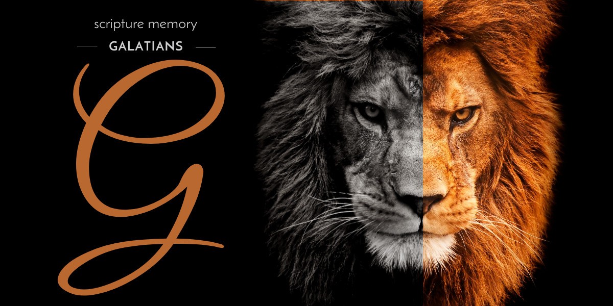 Galatians Scripture Memory