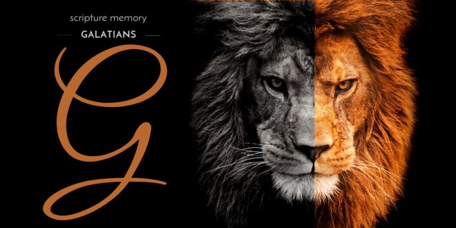 Galatians Scripture Memory