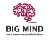 bigmind