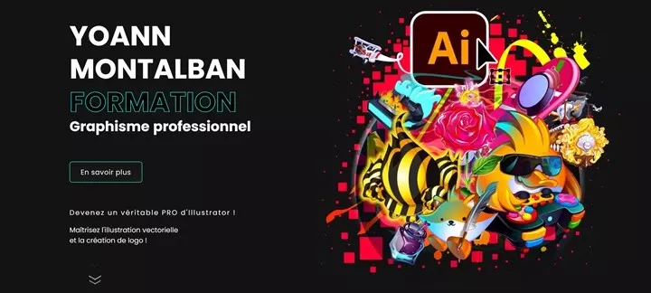 YOANN MONTALBANFORMATION