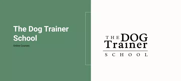 The Dog Trainer School