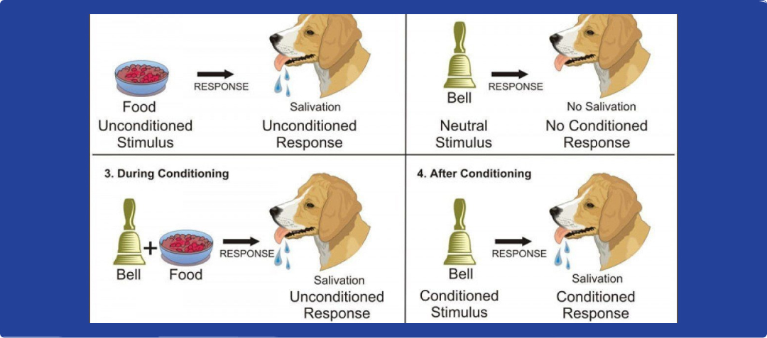 Behavioural learning approach