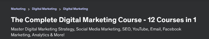 Digital marketing online course headline